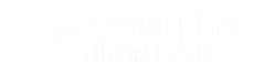 campingFLK_logo